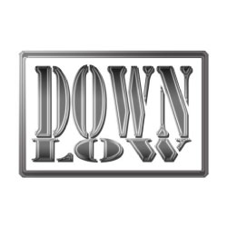 Down Low logo